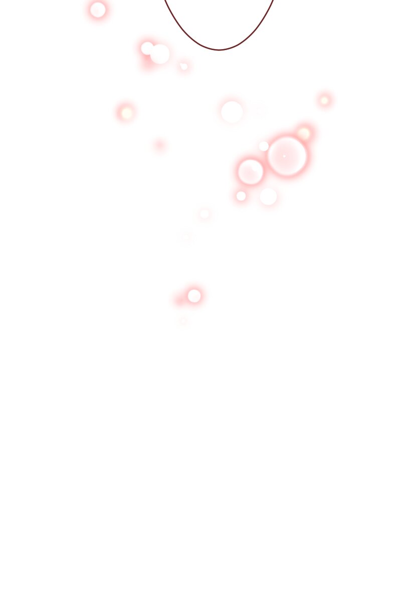 64955911 800 1206 15081